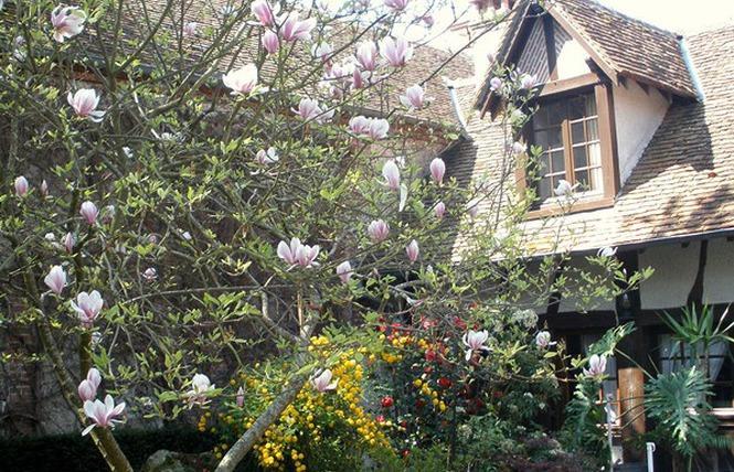 L'Auberge Du Faisan Doré Saint-Florent-le-Jeune Extérieur photo